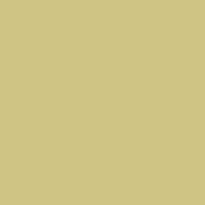 Rako Color One – obkládačka 15×15 cm, žlutá lesk (bal.=1&nbsp;m²) | WAA19200